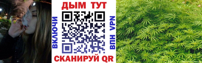 Шишки марихуана MAZAR МЕГА сайт Губкин